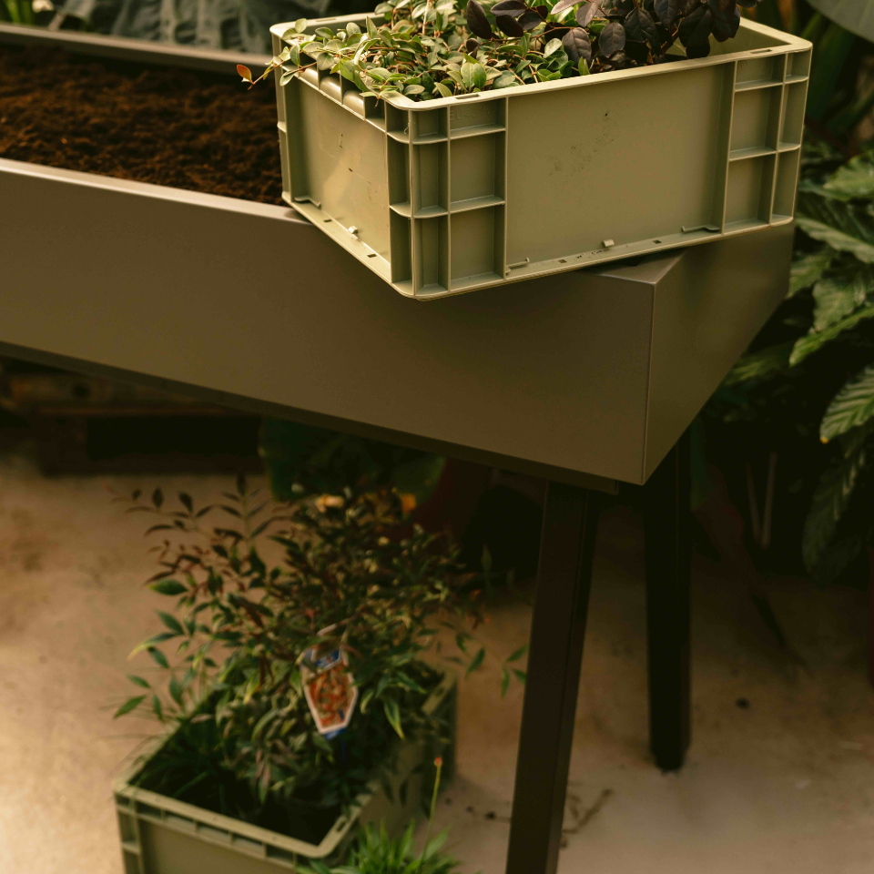 Gardenworks Crate